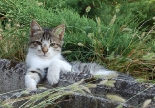A Frigeri Partner after an intense meeting enjoys relax time at plant’s garden
