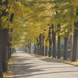 St. George Avenue